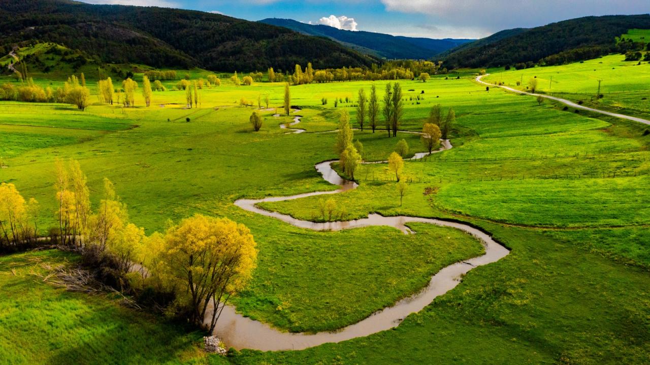 Akdağmadeni Ormanları